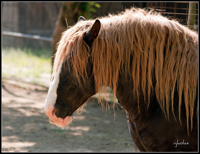 4568860326_7c308237bd_b