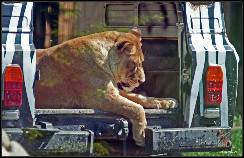 4568903406_d018e4a1d1_b