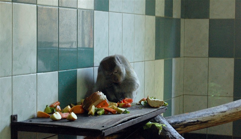 un-mic-dejun-sanatos