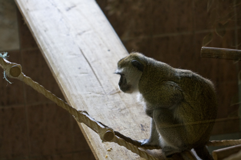 Ceva arsuri? Da, de la masa de seara!