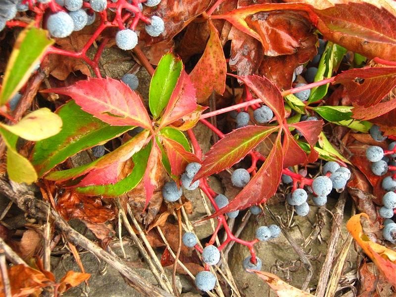 gabrielam_04102008_01