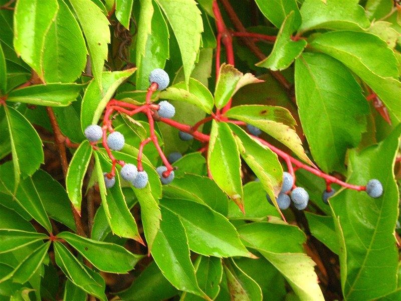 gabrielam_04102008_02