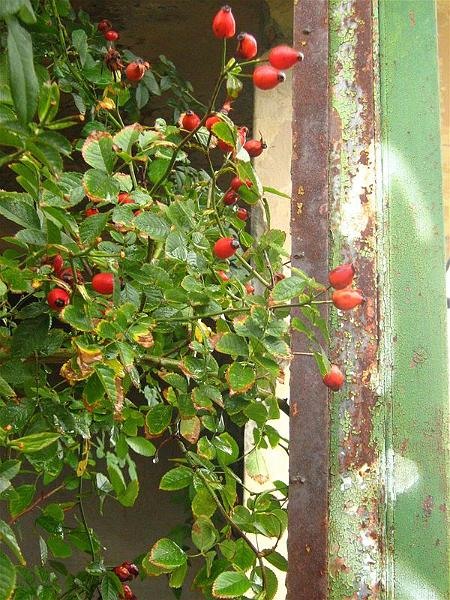 gabrielam_04102008_03