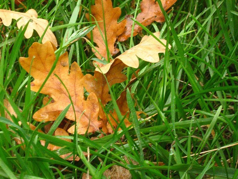 gabrielam_04102008_05