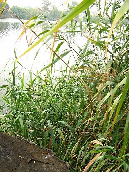 gabrielam_04102008_07