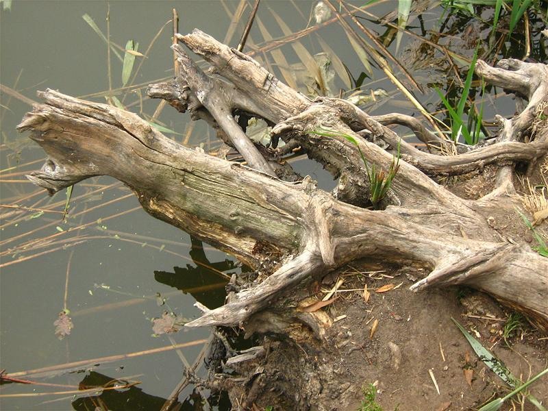 gabrielam_04102008_08