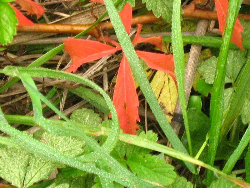 gabrielam_04102008_10