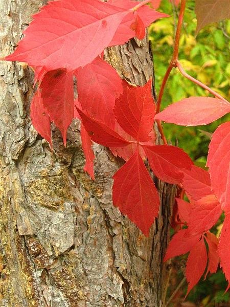 gabrielam_04102008_11