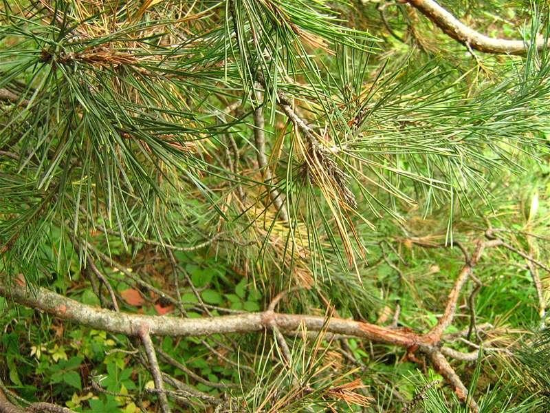 gabrielam_04102008_12