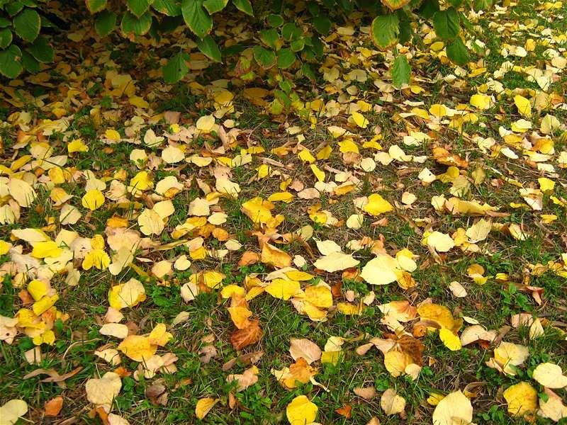 gabrielam_04102008_13