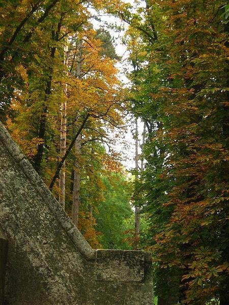 gabrielam_04102008_14