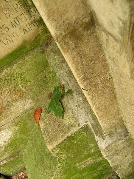 gabrielam_04102008_15