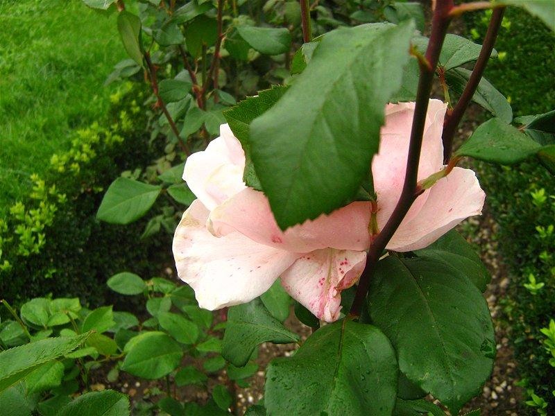 gabrielam_04102008_16