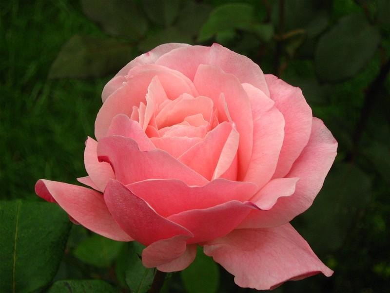 gabrielam_04102008_17