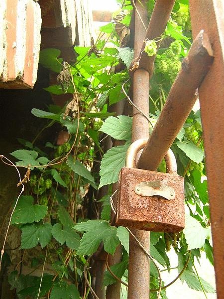 gabrielam_04102008_23