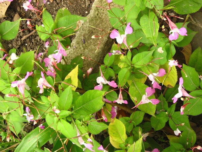 gabrielam_04102008_25