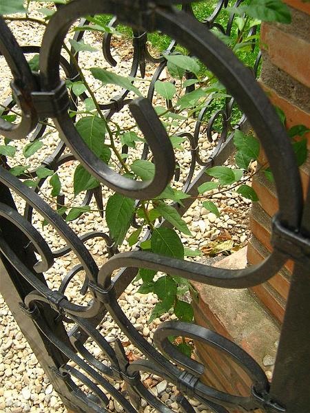 gabrielam_04102008_28