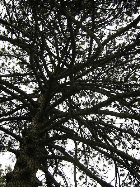 gabrielam_04102008_29