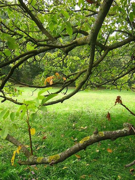 gabrielam_04102008_31