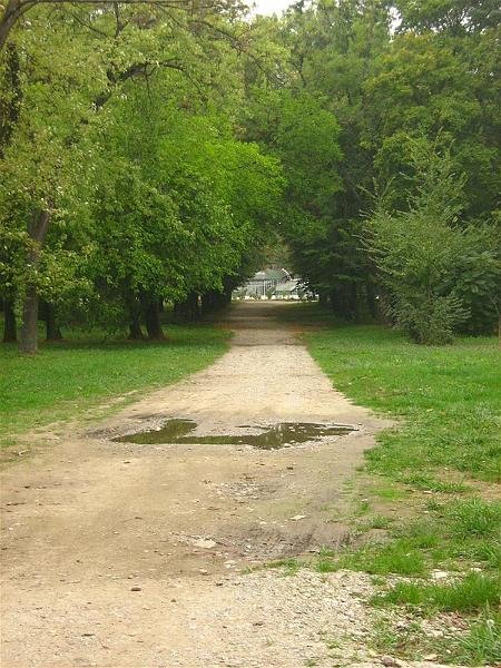 gabrielam_04102008_32