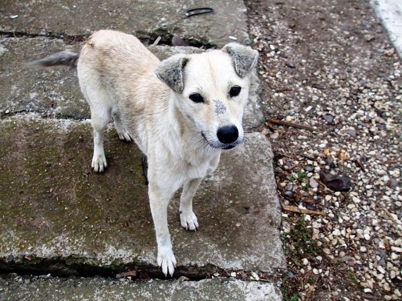 adrianas_20081004_01