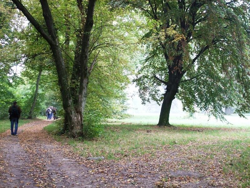 adrianas_20081004_14