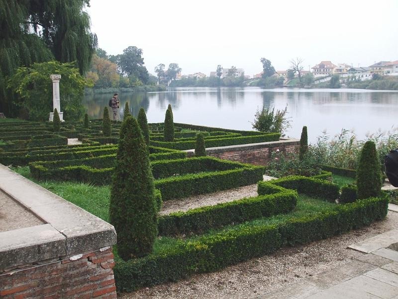 adrianas_20081004_19