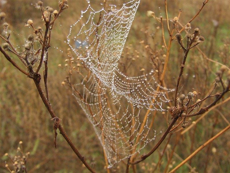 cristinas_04102008_01