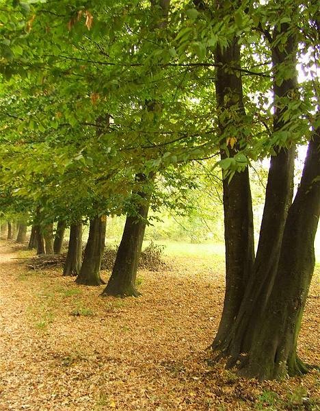 cristinas_04102008_03