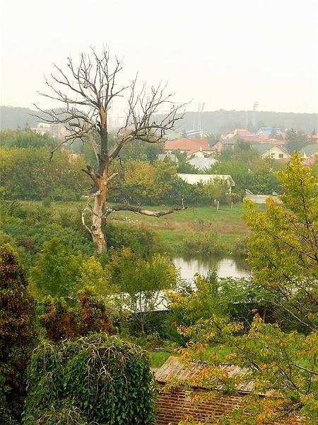 cristinas_04102008_13