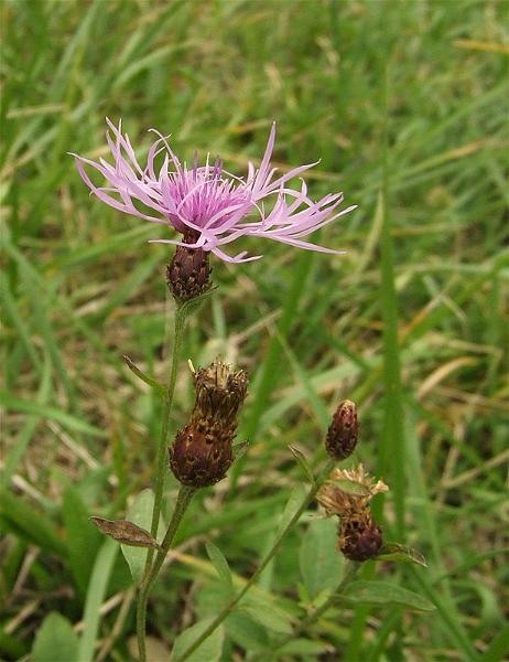 cristinas_04102008_28