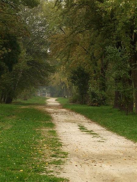 cristinas_04102008_29