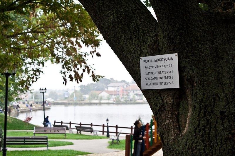 sorinvoicu_20081004_05