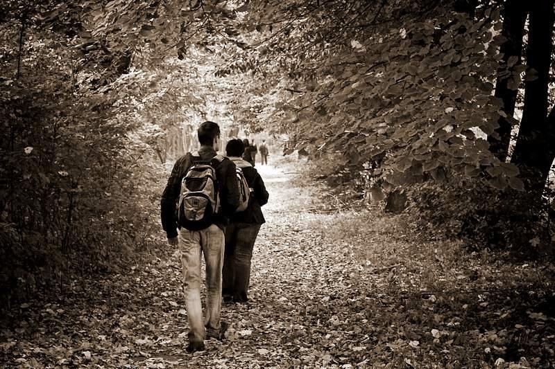 sorinvoicu_20081004_06