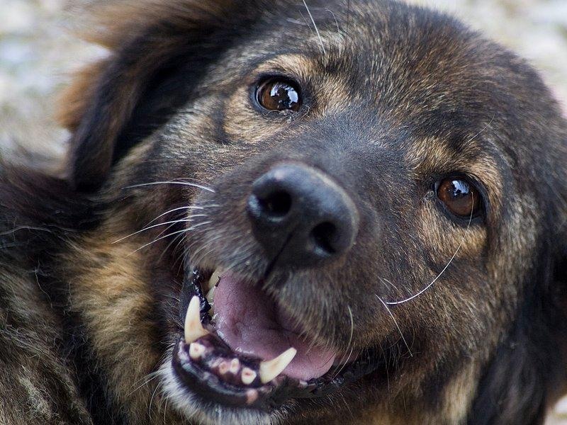 sorinvoicu_20081004_10