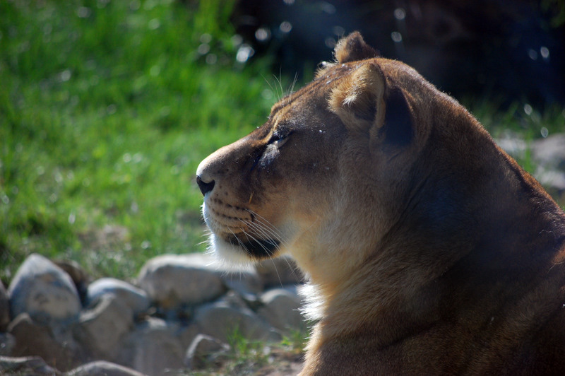 1-mai-zoo-baneasa-124
