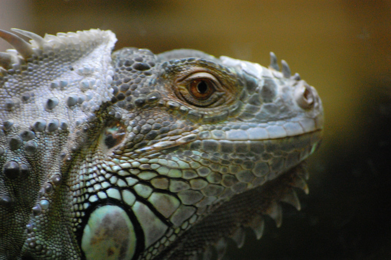 1-mai-zoo-baneasa-127