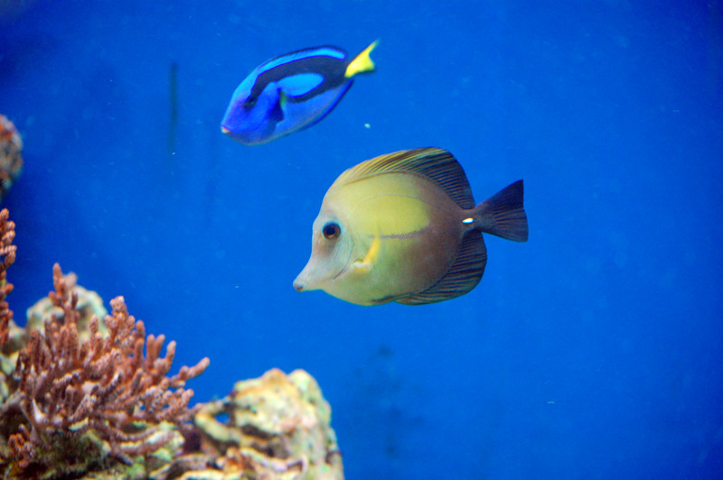 1-mai-zoo-baneasa-152