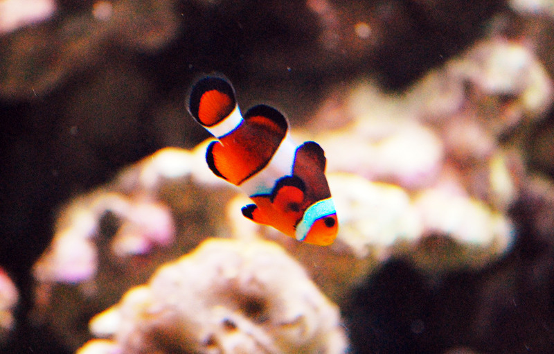 1-mai-zoo-baneasa-207