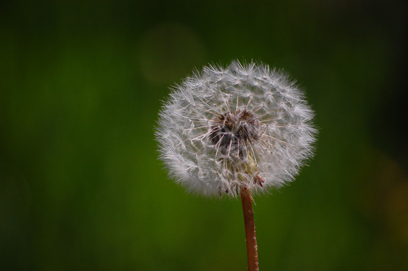 1-mai-zoo-baneasa-235