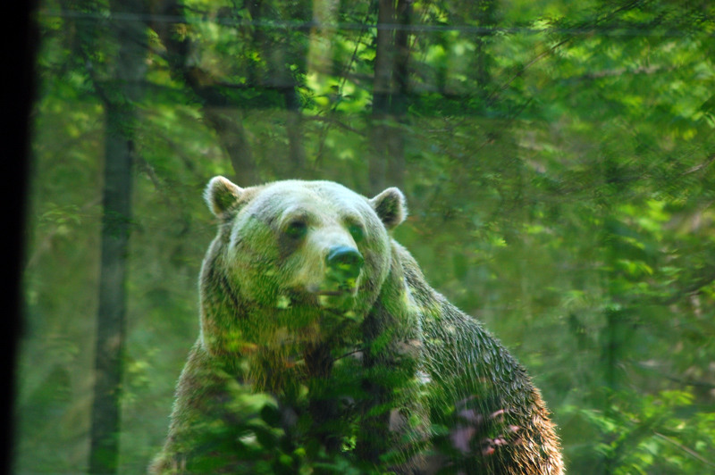 1-mai-zoo-baneasa-243