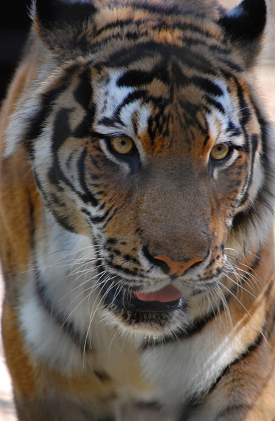 1-mai-zoo-baneasa-273