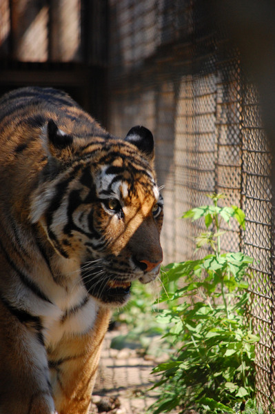 1-mai-zoo-baneasa-279