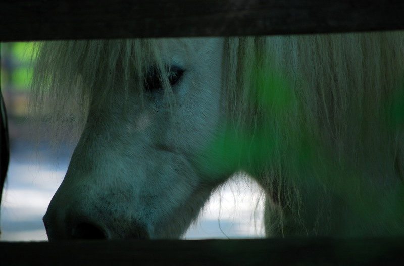 dsc_3007_orasul_resize