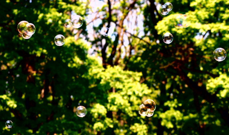 dsc_3057_crop_orasul_resize