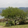20090430_andeia_48