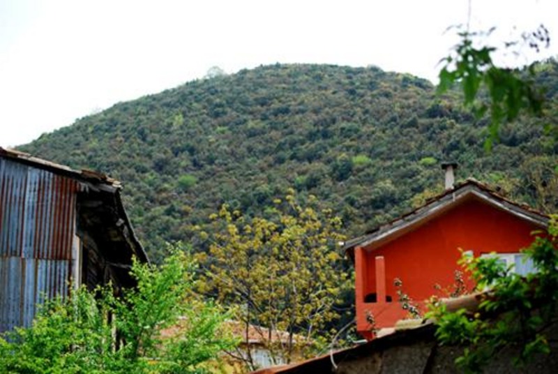 20090430_sghinescu_14