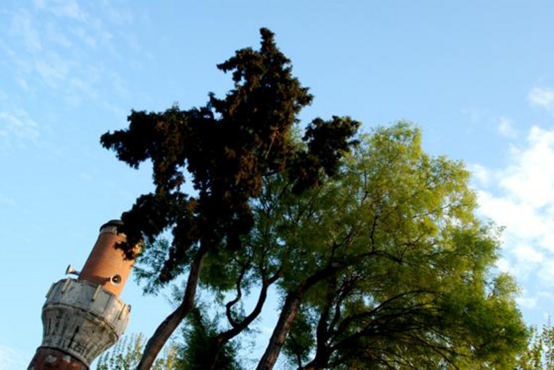 20090430_sghinescu_21