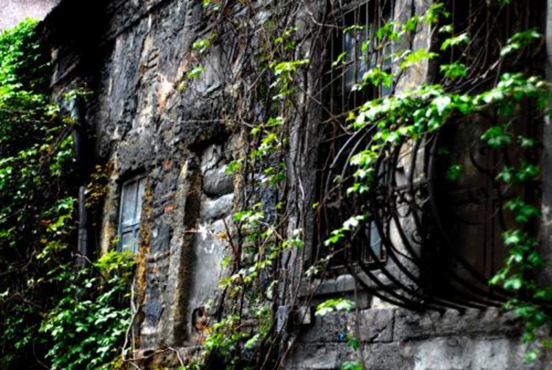 20090430_sghinescu_22