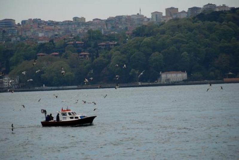 20090430_sghinescu_27